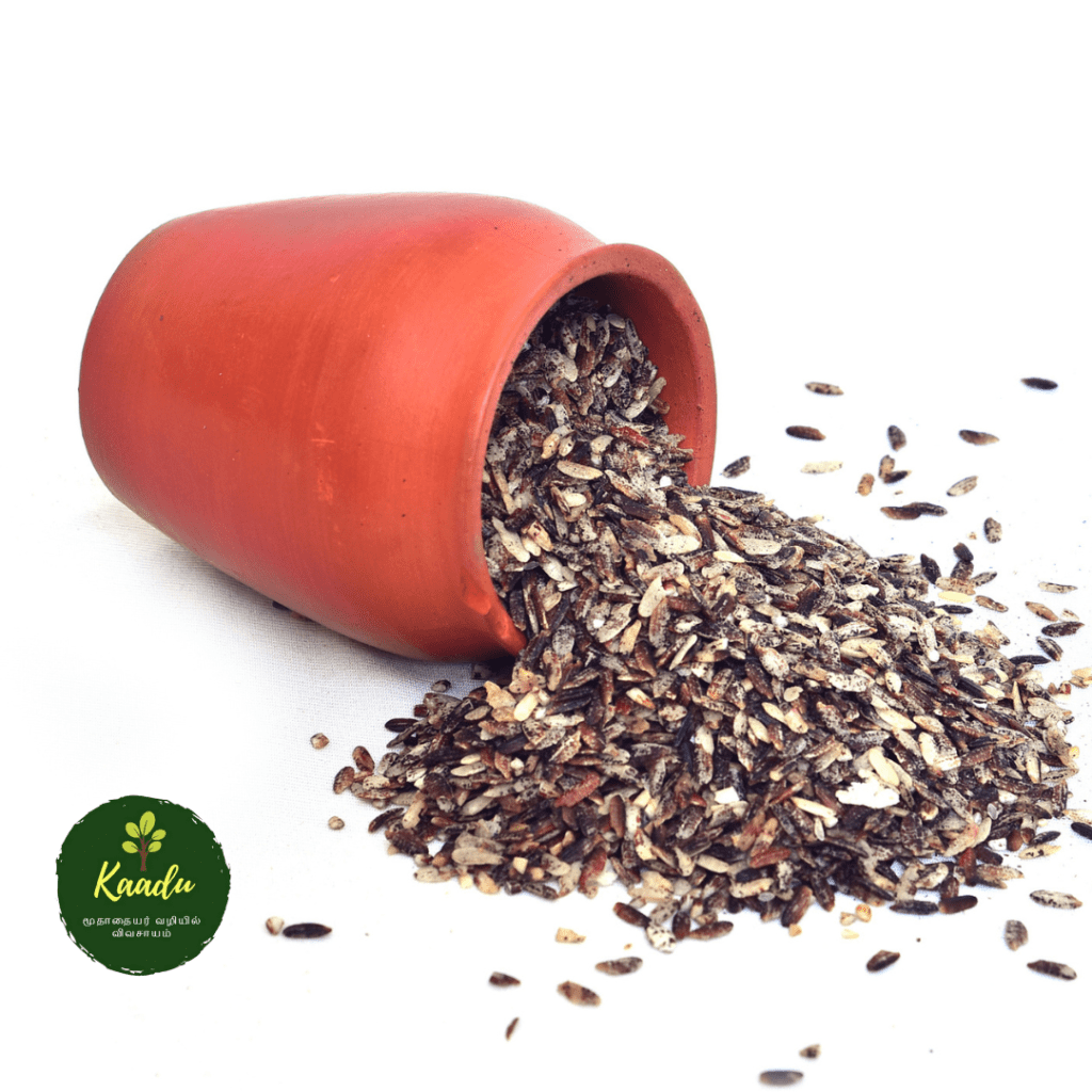 Organic Karuppu kavuni rie flakes/ poha spread on the floor