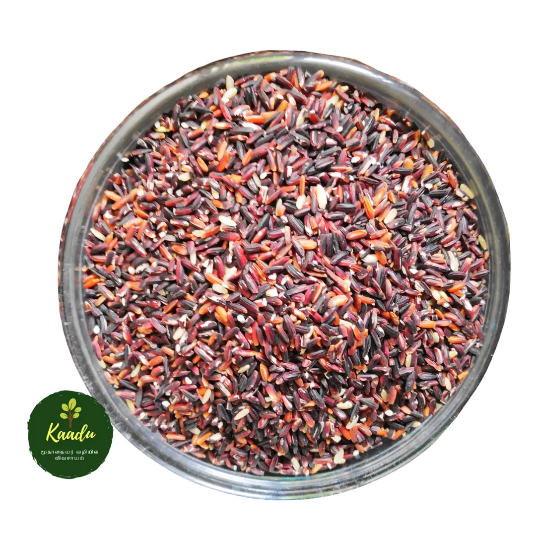 Karuppu Kavuni Rice Kept in a Bowl