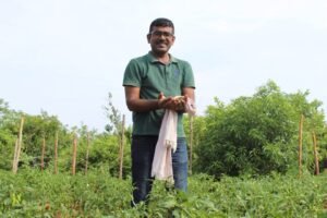 Best Quality Grocery Products Online Bangalore