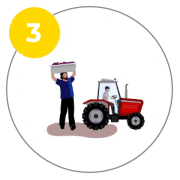 sustainable farming image2