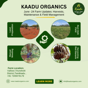 kaadu june24 month farm activity