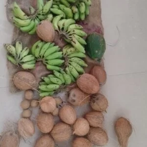 fruits from our organic certified farm